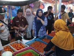 Jelang Nataru, DP2KUKM Lutra Lakukan Pemantauan Harga Barang Pokok di 4 Pasar Sentral