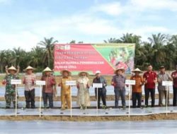 Pemdes Balai Kembang Gelar Penanaman 10.000 Bibit Cabai Merah