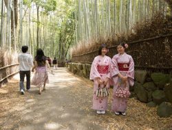 Contoh Perencanaan Perjalanan Wisata ke Arashiyama Jepang