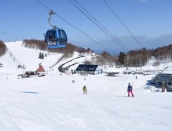 Asiknya Bermain Salju di Resort Teine Ski Sapporo Jepang