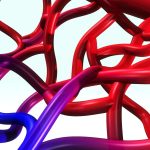 Cara Menjaga Elastisitas Pembuluh Darah Kunci Kesehatan Kardiovaskular Optimal