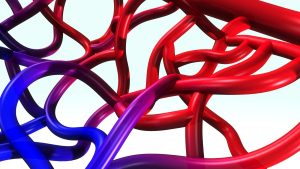 Cara Menjaga Elastisitas Pembuluh Darah: Kunci Kesehatan Kardiovaskular Optimal