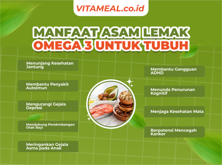 Manfaat Asam Lemak Omega 3 Untuk Pembuluh Darah Membangun Fondasi Kesehatan Kardiovaskular Yang Kuat