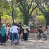 Denyut Kultural di Tengah Libur Nasional: TMII Menjadi Magnet Rekreasi Multigenerasi