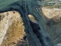 Ancaman Menggunung di Pesisir Jakarta Utara: ‘Pulau Sampah’ Viral Picu Respons Kolaboratif